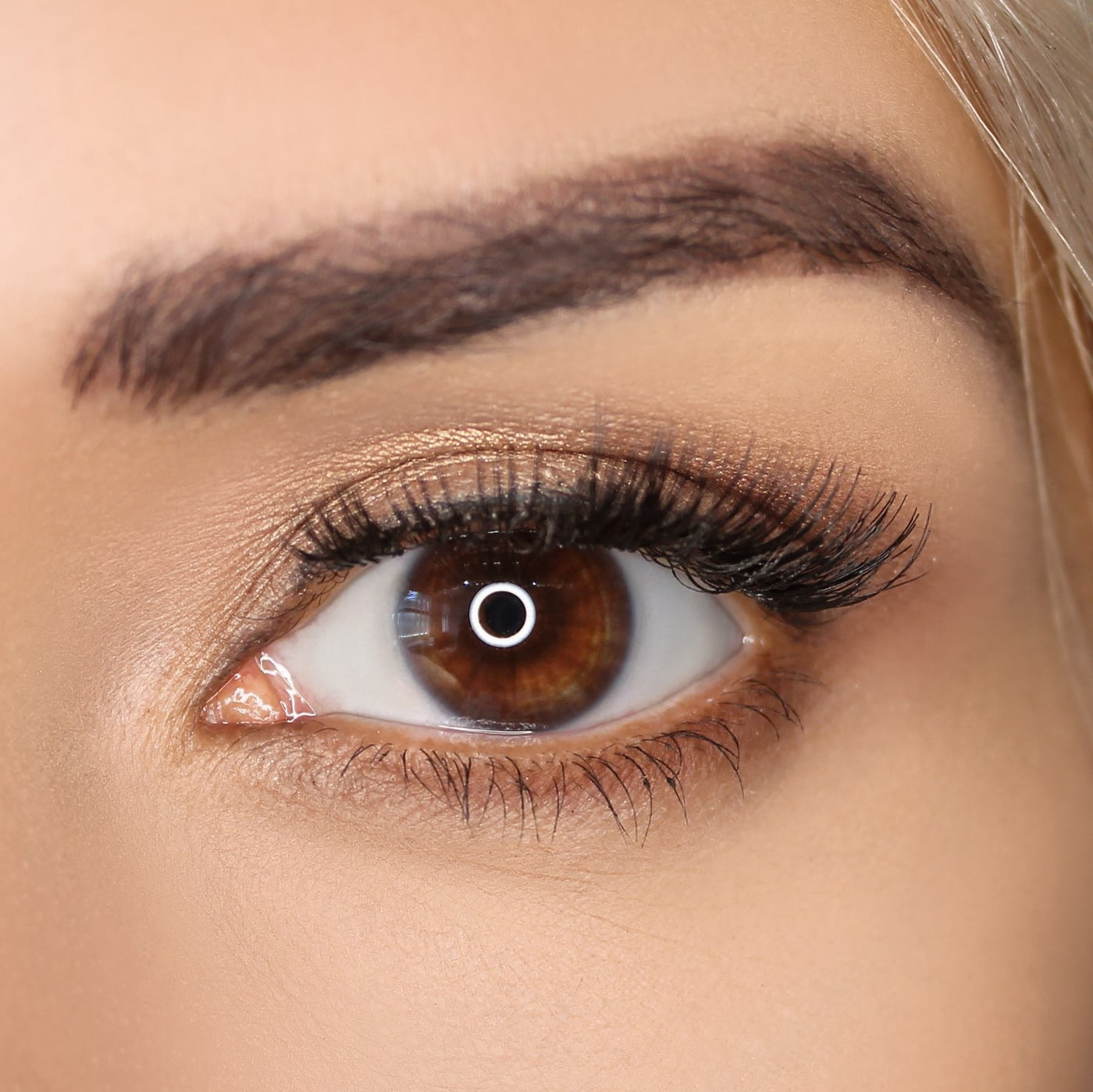 Indulge in the best of Australian beauty with Lash Lovin' You. Our handcrafted magnetic lashes are a game-changer, combining style, comfort, and innovation. Elevate your lashes and your look.